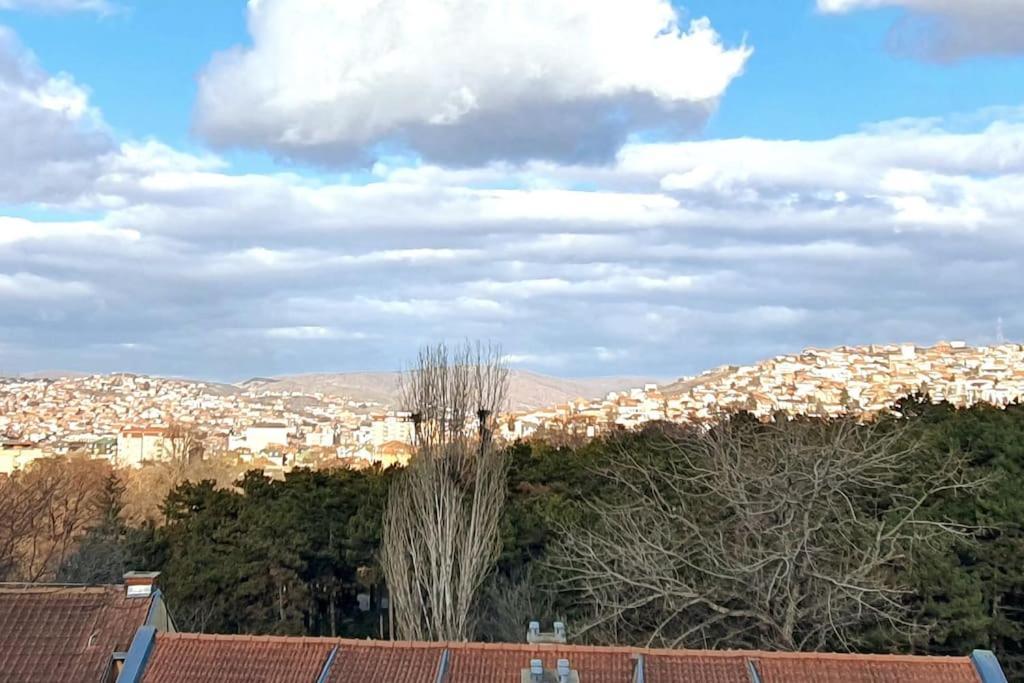 Floral Inn Πρίστινα Εξωτερικό φωτογραφία